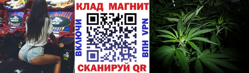 Галлюциногенные грибы Дальнегорск