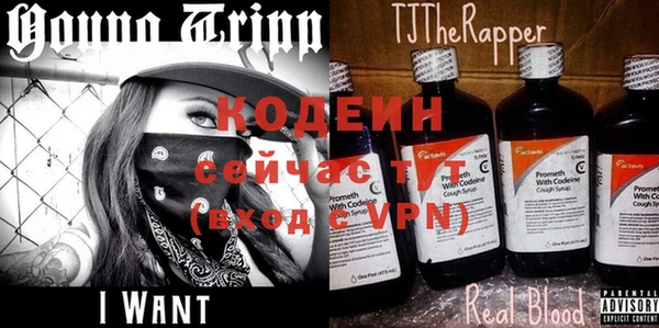 ГАЛЛЮЦИНОГЕННЫЕ ГРИБЫ Кулебаки