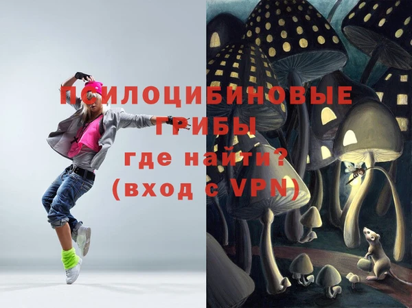 эйфоретик Кукмор