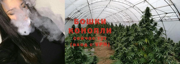 ГАЛЛЮЦИНОГЕННЫЕ ГРИБЫ Кулебаки